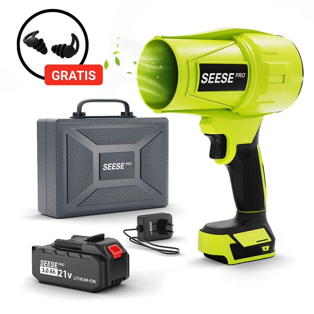 L'excellence au quotidien avec SeesePro